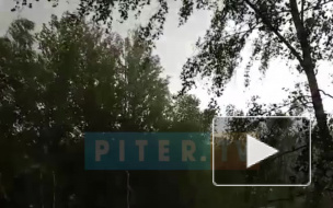 По центральным районам России прошли мощные ливни с грозами, градом и ураганным ветром