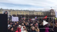 Петербуржцы показали свои три билборда на митинге ...