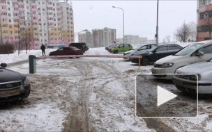 Шлагбаум лихорадит.