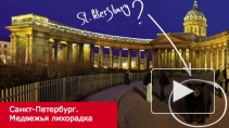 В России распространяют "медвежий вирус"
