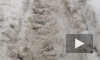 Жители Набережной Фонтанки утопают в снегу