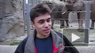 YouTube 15 лет: В сети показали самый первый видеоролик на видеохостинге 