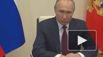 Путин призвал устранять нарушения законодательства в сфере экономики