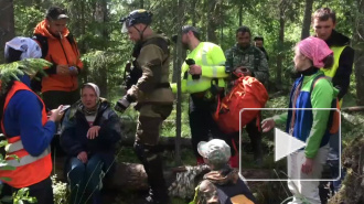 Петербургские добровольцы спасли 79-летнюю пенсионерку, которая потерялась в лесу