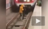 Женщина выжила после падения на рельсы на станции метро "Текстильщики" в Москве