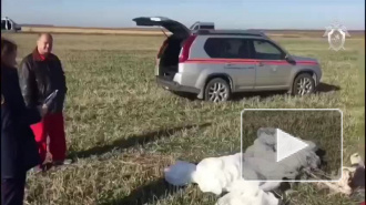В Свердловской области на тренировке погиб парашютист 