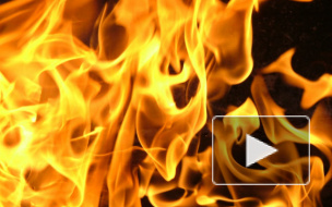 В Смоленской области три человека сгорели в больнице: возможно, мужчина поджог палату в состоянии психоза