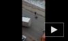 В сети появилось видео со сбитым пешеходом в Воронеже