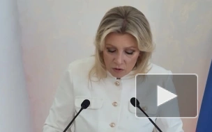 Захарова: Убийство Портного косвенно носит заказной характер