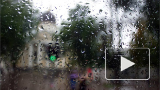 В Петербурге из-за дождя выходят из строя светофоры
