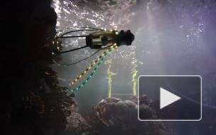 Создан робот-кальмар, способный быстро двигаться в воде