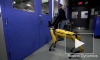 Возмутительное видео: В BostonDynamics "издеваются" над роботом - собакой