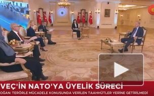 Эрдоган рассказал о сотрудничестве Турции и России по поставкам зерна