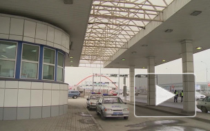 В Ленобласти иномарка сбила лося и врезалась в КамАЗ, водителя в тяжелом состоянии увезли в больницу