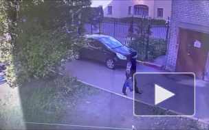 Мошенники продали 82-летней женщине в Петербурге БАДЫ на 240 тысяч рублей