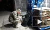 Задержание устроившего стрельбу в Екатеринбурге мужчины попало на видео