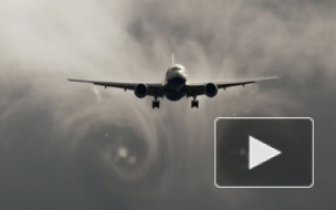 Боинг 777, последние новости: Нидерланды думают отправить свой спецназ на Украину за Стрелковым