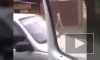 По улицам Владикавказа прогуливался голый мужчина (видео)