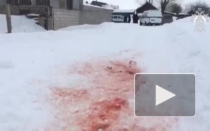 Видео: в Чувашии собаки загрызли пенсионерку 