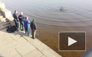 Появилось видео спасения мужчины, который прыгнул с Гренадерского моста