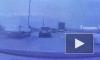 Автомобиль сбил лисенка на КАД: видео