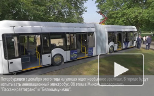 Гибрид автобуса и троллейбуса будет пугать петербуржцев на улицах города