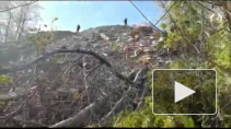 Опубликовано видео с места убийства 16-летней школьницы в Адыгее, которая пропала в мае по дороге из школы