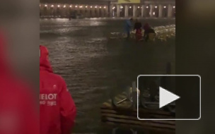 Видео: площадь Святого Марка в Венеции полностью ушла под воду