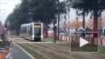 В Петербурге начнут курсировать низкопольные трамваи ...