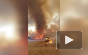 Огненный смерч в Калифорнии попал на видео