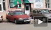 Видео из Ялты: Собака ворует номерные знаки с машин