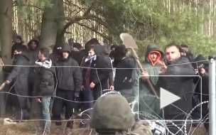 Нелегальные мигранты продолжают попытки прорыва границы в Польшу
