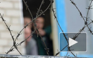 Амнистию к 70-летию Победы могут объявить уже 24 апреля