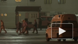 В МИД прокомментировали вопрос эвакуации россиян с Diamond Princess