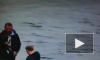 Капитан полиции Сорокин спас петербуржца, прыгнувшего с Литейного моста в Неву