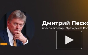 Песков не стал комментировать приговор Никите Журавелю