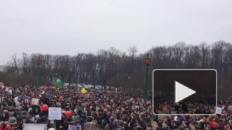 Первые видео с Марсова поля: там проходит массовая акция 