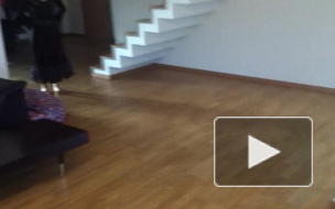 Питомник китайских хохлатых собак "Овации"