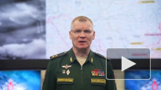Минобороны РФ: российские войска уничтожили более 20 украинских военнослужащих на Купянском направлении