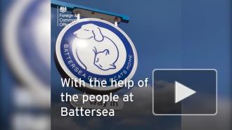 Главный кот-мышелов МИД Британии ушел в отставку