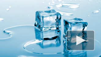 Жириновский принял участие в Ice Bucket Challenge и облился ледяной водой