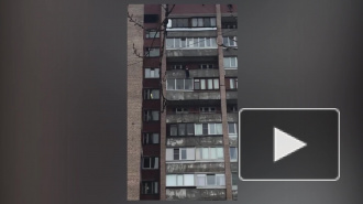 Видео: петербуржец передумал выходить в окно из многоэтажки на Художников
