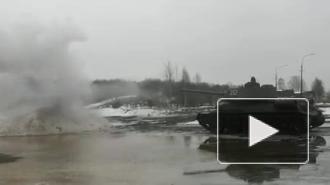 В Красном Селе чучело Масленицы расстреляли из танка