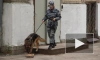 Заложенной в школе бомбе не поверили даже дети