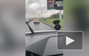 Водители объезжают 5-балльную пробку по газону на Пулковском шоссе