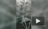 Видео: неизвестный залез под крышу терминала аэропорта "Внуково"