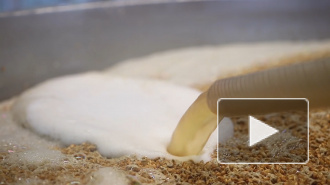 Союз пивоваров попросил пересмотреть требования к содержанию солода в пиве