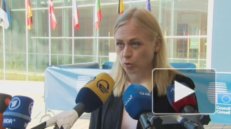 В Финляндии заявили, что ЕС может затруднить госслужащим Грузии поездки в Европу
