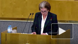 Терешкова считает, что критикующие ее поправку не любят страну