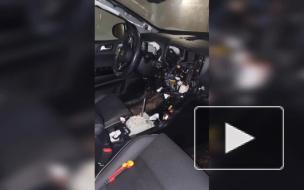 В Петербурге и Карелии задержали банду автоворов, наряжавшихся в парики и резиновые маски